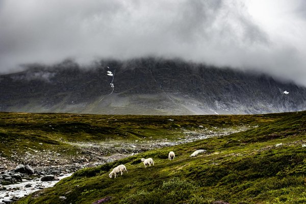 Où apprendre l'art du soufflage de verre dans les ateliers traditionnels de Venise?